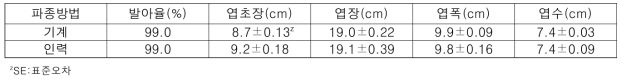 파종 후 31일에 기계파종과 인력파종시 무 생육 (홍성, 2019. 9.17.)