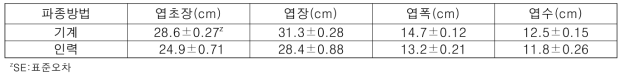 파종 후 60일에 기계파종과 인력파종시 무 생육 (홍성, 2019.10.16.)