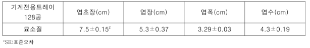 정식시 배추 묘소질 (2019. 9.25.)