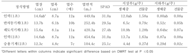 정식방법이 가을 배추 생육 및 수량에 미치는 영향 (정식 후 14일, 완주‘20)