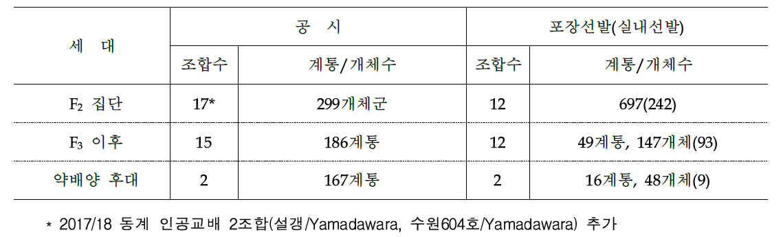 2019년도 쌀가루 유망계통 선발 내역 종합