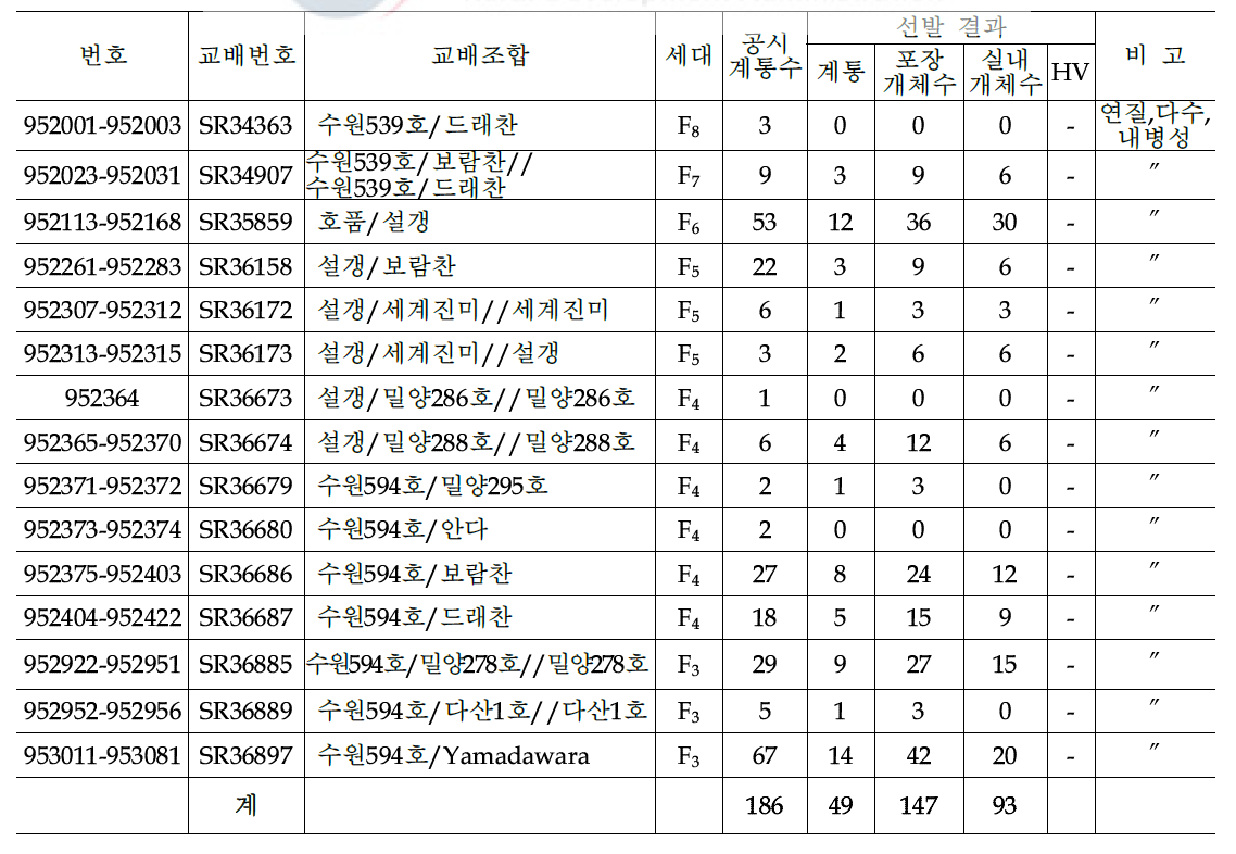 2019년도 쌀가루 유망계통 F3 이후 계통