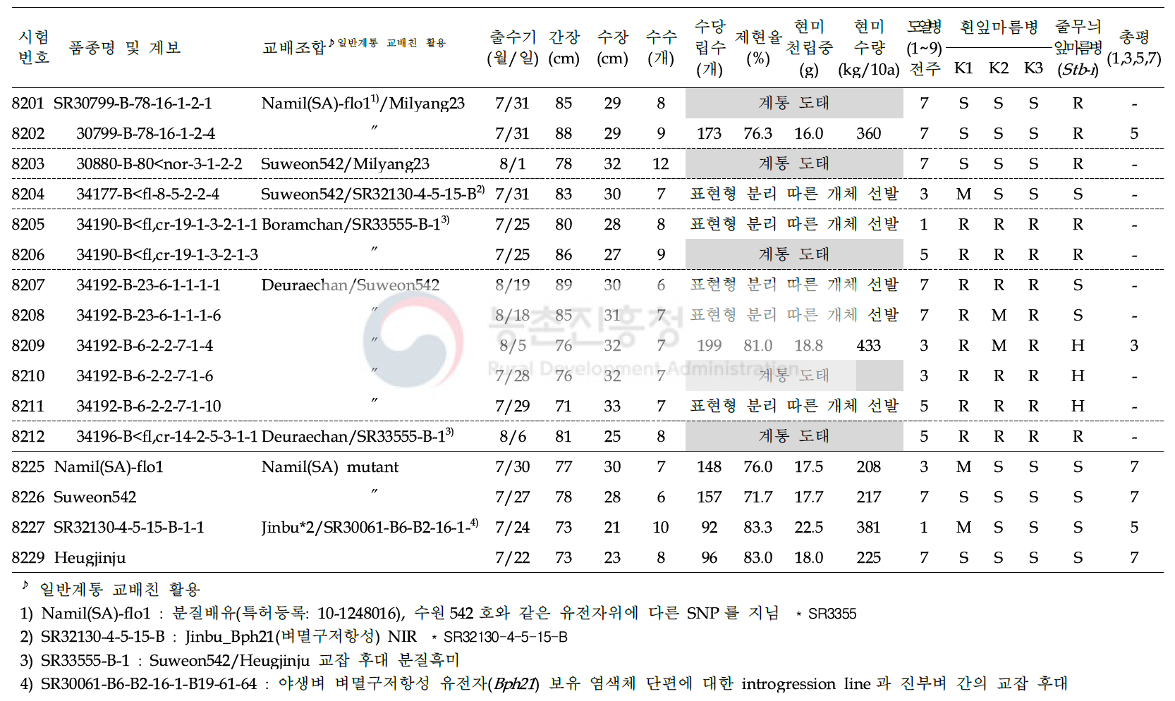 쌀가루 전용 분질미 생산력(보통기 OYT) 시험 결과요약 (6 조합, 12 계통; 1본식, 1반복, 40주 수확평가)