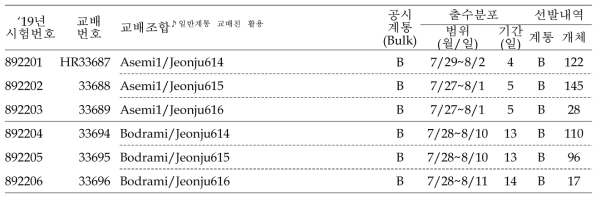 2019년 쌀가루 전용 분질미 육성을 위한 F2 계통 공시 및 선발내역