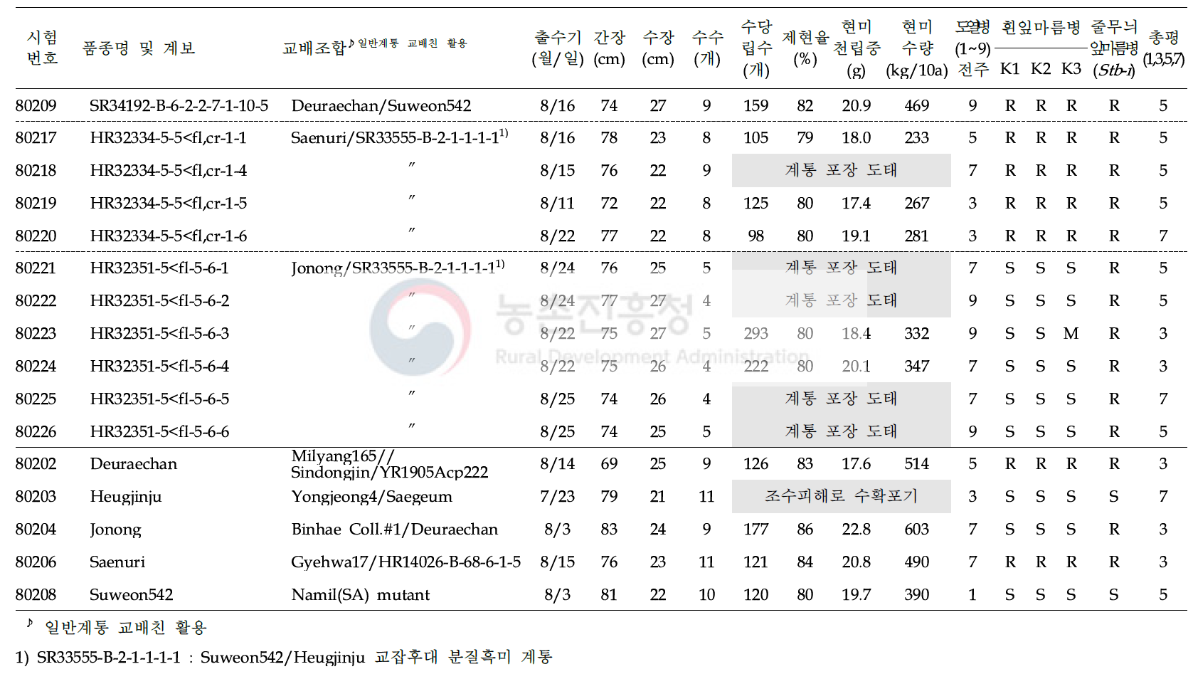 2020년 분질미 생산력(보통기 OYT) 시험 결과요약 (3개 조합, 11 계통, 5 대비품종; 1본식, 1반복, 40주 수확평가)