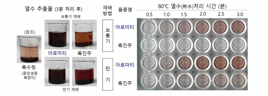 현미로부터 안토시아닌 색소를 용출시키는 열수(熱水)처리 과정