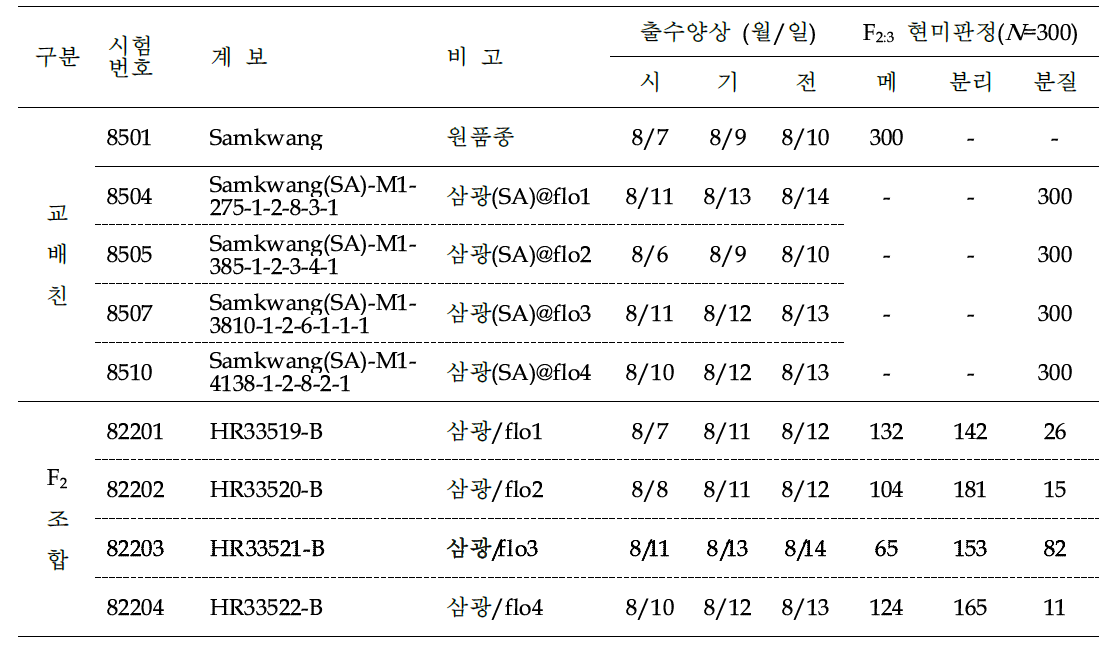 ‘삼광’ 유래 신규 분질배유 유전분석 위한 교배조합 및 F2:3 현미판정 결과