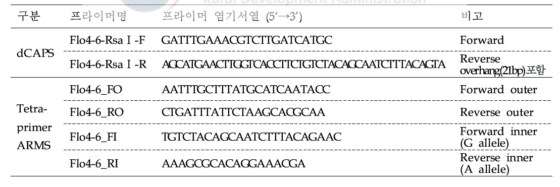 Samkwang(SA)-flo3’ 분질배유 특성 판별용 dCAPS 및 Tetra-primer ARMS 분자표지