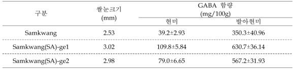 거대배아 돌연변이 계통의 쌀눈 크기 및 GABA 함량