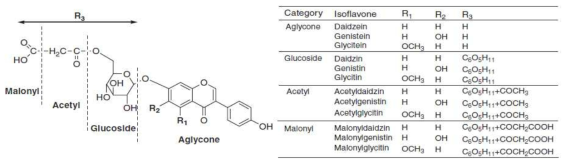 콩 함유 기능성 이소플라본 유도체 12종의 화학구조