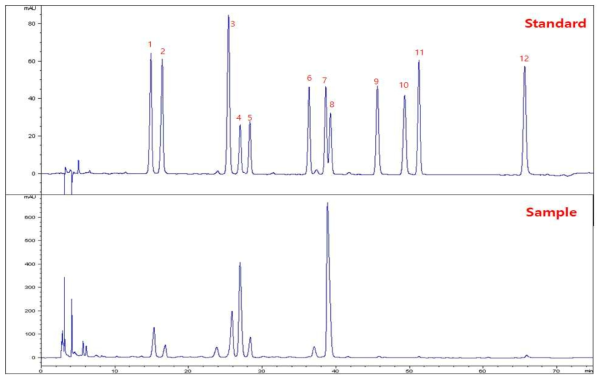 콩 함유 기능성 이소플라본 유도체 12종의 HPLC-DAD 크로마토그램