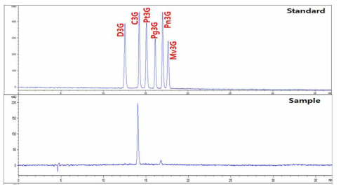 벼 함유 안토시아닌의 HPLC-DAD 크로마토그램