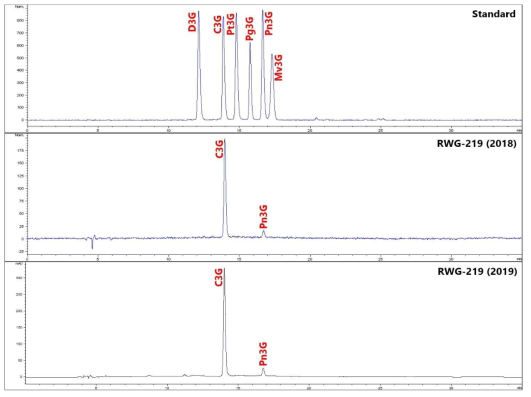 벼 함유 안토시아닌의 HPLC-DAD 크로마토그램