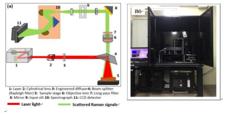 Optical design of line-scan RHSI system (a), and photograph of a system used to acquire images for seed samples (b)