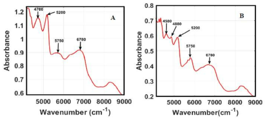 Soybean FT-NIR mean spectra: (A) seed, (B) powder