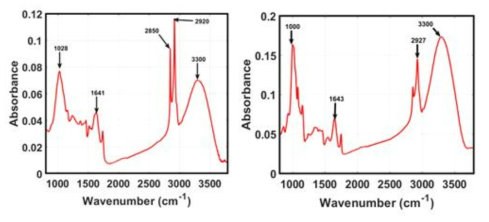 FT-IR spectra of soy bean and rice (A) soy bean; (B) rice