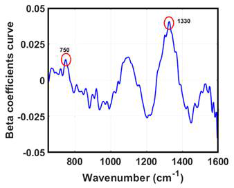 Beta coefficients curve of rice PLS model in powder type of sample