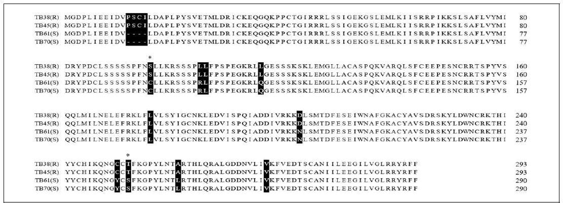 Ty-3 유전자의 엑손 영역에서 발굴된 non-synonymous InDel 및 SNP들과 저항성 판별 마커 개발