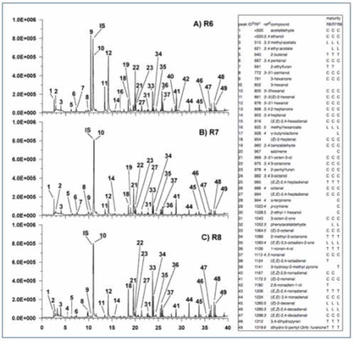 시기별 콩 (Pioneer 95B41) 휘발성 유기물질 분석 (J Agric Food Chem 2003, 51:4872-4876)