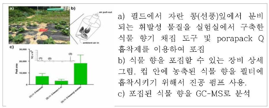 필드 핵심집단 휘발성 물질 포집 및 분석