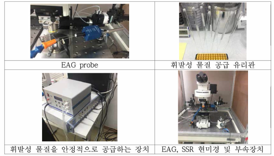 곤충 더듬이 전기 신호 측정 장치 (EAD，SSR)