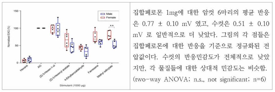 콩 휘발성 물질 자극에 의한 톱다리개미허리노린재 더듬이 전기반응 측정