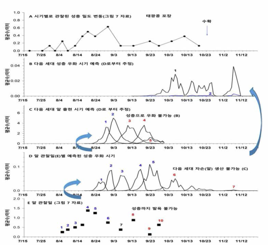 콩 포장에 산란된 알 관찰일부터 발생모델에 의해 추정된 성충 발생시기. A，관찰된 성충 밀도 변동; B，예측된 성충 우화시기 (D) 로부터 추정된 다음세대 성충 우화시기; C，예측된 성충 우화시기 (D) 로부터 추정된 다음세대 산란알 출현시기; D，알 관찰일부터 추정 된 성충 발생시기; E，관찰된 알 발생시기