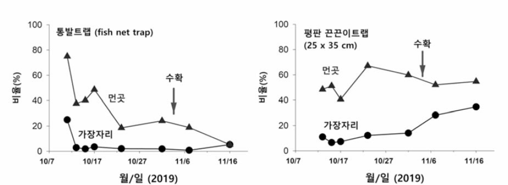 가을철 트랩 위치에 따른 톱다리개미허리노린재 성충 포획 효과(2019)