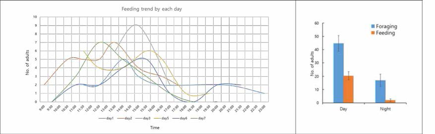 야외에서 관찰한 노린재 섭식 행동의 일주기성 리듬