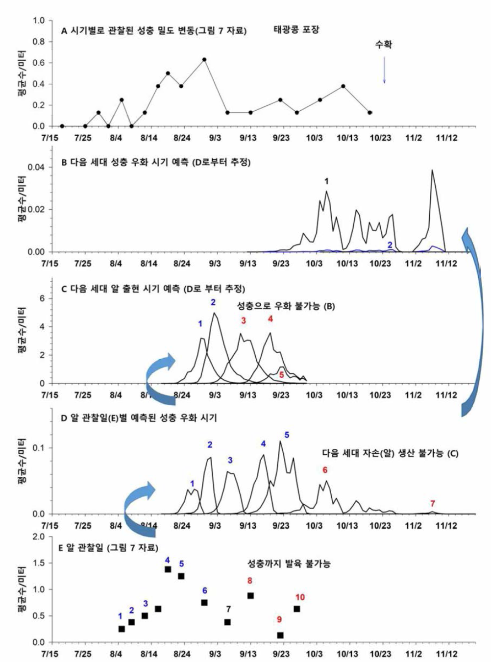 콩 포장에 산란된 알 관찰일부터 발생모델에 의해 추정된 성충 발생시기. A, 관찰된 성충 밀도 변동; B，예측된 성충 우화시기(이로부터 추정된 다음세대 성충 우화시기; C, 예측된 성충 우화시기(이로부터 추정된 다음세대 산란알 출현시기; D，알 관찰일부터 추정된 성충 발생시기; E, 관찰된 알 발생시기