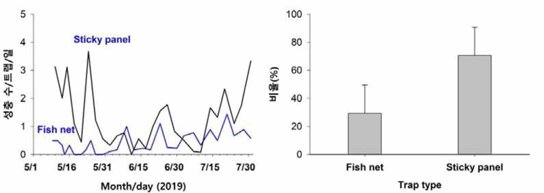 집합페로몬 트랩 형태에 따른 톱다리개미허리노린재 성충 포획 효과(2019) (포획력에 트랩 사이에 통계적으로 유의한 차이는 나타나지 않았다)