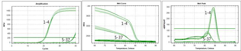 Real-time PCR of a putative methyltransferase from L. fermentum using species-specific ALLF96F/R primer set. lanes 1-36 listed in Table 1. The melt-peak results revealed amplified product at a melting temperature (Tm) of approximately 84.0℃