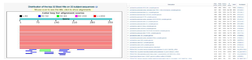 The results of blastn search with a hypothetical protein gene from L. paracasei ATCC 334