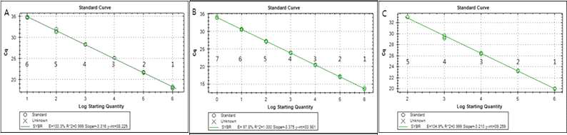 Sensitivity of real-time PCR in standard dilution series. Standard curve was generated from the threshold cycles (Ct) also known as crossing points of the L. paracasei subsp. paracasei standard dilution. All curves demonstrated R2>0.99. (A) Genomic DNA (B) Cloned DNA (C) Bacterial cell suspension