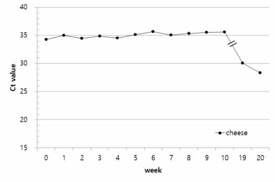 Changes in the Ct value of real-time PCR for the quantification of L. fermentum in total DNA of Imsil-cheese during 4℃ fermented