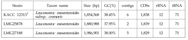 Assembly statistics of three Leuconostoc strains