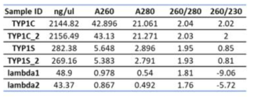 TYP1 gDNA 추출을 하기 위해 시도된 CTAB(cetyl trimethylammonium bromide) 방식 (TYP1C)과 Spooling method(TYP1S)