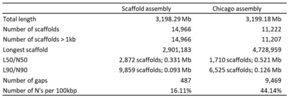 Chicago scaffolding을 이용한 어셈블리 완성도 향상