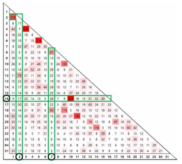 PacBio IsoSeq 전사체의 중복 매핑 결과