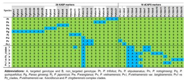 인삼속 판별을 위해 개발된 42개 마커의 종별 Genotype