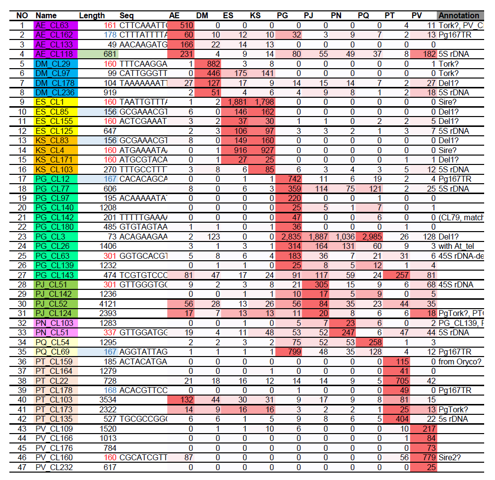 List of 47 lineage/species-specific satellite DNAs in ten Araliaceae species. Values are average coverage from NGS read mapping. AE=A. elata, DM=D. morbiferus, ES=E. sessiliflorus, KS=K. septemlobus, PG=P. ginseng, PJ=P. japonicus, PN=P. notoginseng, PQ=P. quinquefolius, PT=P. trifolius, PV=P. vietnamensis