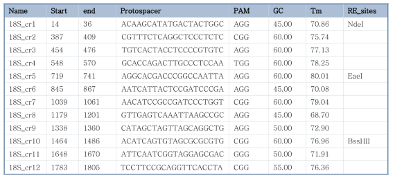 List of designed crRNA protospacers to be used to target the 18S region of P. ginseng