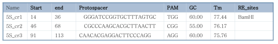 List of designed crRNA protospacers to be used to target the 5S region of P. ginseng