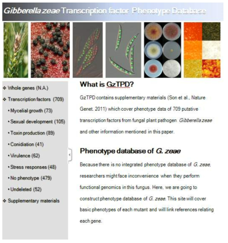 본 연구팀이 선행구축한 웹기반의 붉은곰팡이 발형체 데이터베이스인 Gibberella zeae Transcription factor Phenotype Database (GzTPD) (Son et al, 2011, PLoS Pathog)