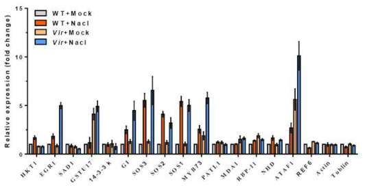 Met-RNA-seq에서 확인된 target RNA들의 고염분 스트레스 하에서 발현 양상