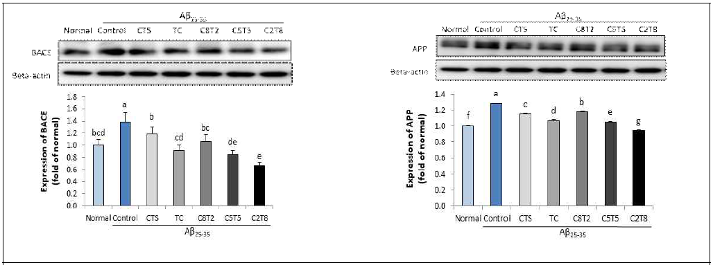 Effect of extracts from Taraxacum coreanum and Carthamus tinctorius seed mixture in different ratios on BACE and APP protein expressions in Aβ 25-35-induced mouse brain