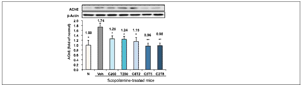 Effect of extracts from Taraxacum coreanum and Carthamus tinctorius seed mixture in different ratios on AChE expression in scopolamine-treated mouse brain