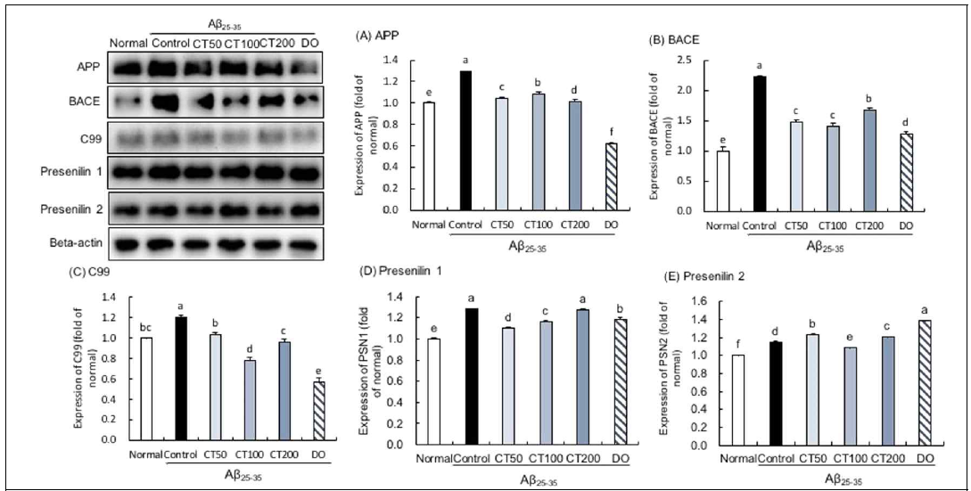 Effect and mechanism of combination in 5:5 ratio of Taraxacum coreanum and Carthamus tinctorius L. seed on amyloid precursor protein(APP) metabolism in Aβ25-35-injected mouse brain