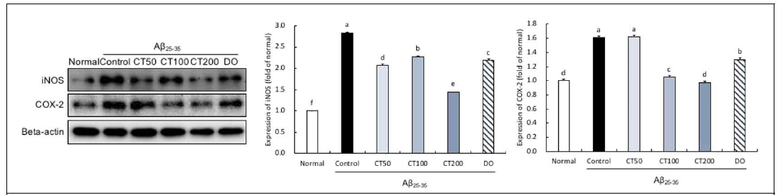 Expression of iNOS and COX-2 in the combination in 5:5 ratio of Taraxacum coreanum and Carthamus tinctorius L. seed-treated mouse brain