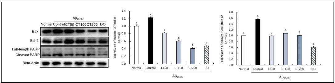 Expression of apoptosis related proteins in the combination in 5:5 ratio of Taraxacum coreanum and Carthamus tinctorius L. seed-treated mouse brain